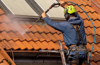 Démoussage et hydrofuge de toiture à Abondance